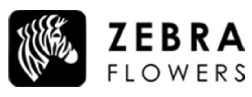 zebracicek